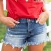 Special A Dark Wash Mid Rise Frayed Hem Denim Shorts