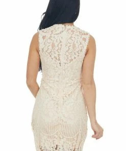 Lime Lush Dresses Apricot Fitted Lace Dress With Sheer Details