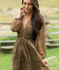 Lush Clothing Dresses Cognac Leopard Print Deep V Neck Mini Dress