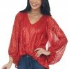 Vine & Love Tops Scarlet Sequin Long Bubble Sleeve Blouse