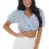 Emory Park Slate Pinstripe Floral Embroidered Cropped Top Tops